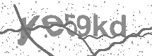 visual captcha